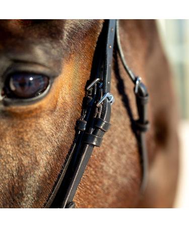 HORZE Weston Padded Leather Horse Bridle with Flash Noseband & Web Reins - Brown | Snaffle Bridle - Buy Online on SooperMarket.com