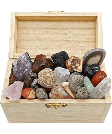 Rokkolino Treasure Chest: Real Minerals Gemstones & Fossils - Discover Nature's Treasures - Buy Online on SooperMarket.com