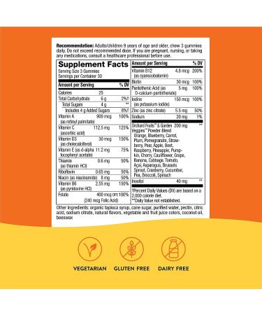 Nature's Way Alive! Premium Adult Gummy Multivitamins - Essential Vitamins & Minerals - Vegetarian - Grape & Cherry Flavored - 90 Gummies - Buy Online on SooperMarket.com