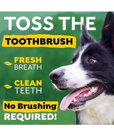 TropiClean Fresh Breath Oral Care Water Additive for Dogs - 33.8 fl oz - Dog Breath Freshener - Plaque & Tartar Defense - No Toothbrush Needed - Buy Online on SooperMarket.com