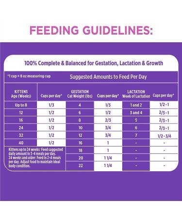IAMS Proactive Health Kitten Dry Cat Food Chicken Recipe 3.5 lb - Pack of 1 - Buy Online on SooperMarket.com