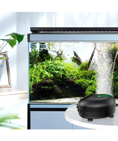 Buy AQQA Ultra Quiet 2.5W Aquarium Air Pump - Adjustable Oxygen Pump with Double Outlet Valve for Optimal Fish Tank Aeration - Buy Online on SooperMarket.com