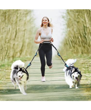 Uppetly Hands Free Dog Running Leash with Adjustable Waist Belt Dual Handle Elastic Bungees Retractable Rope for Medium and Large Dogs Reflective Stitches for Walking Hiking Biking With Pouch for 2 dogs - Buy Online on SooperMarket.com
