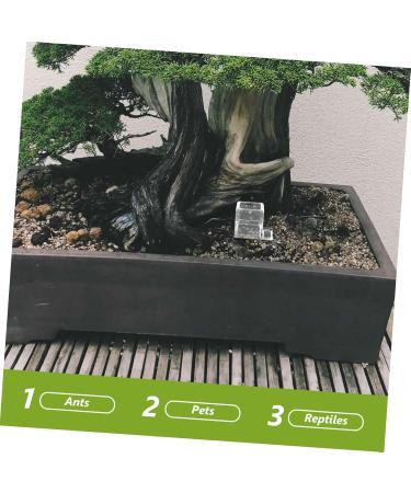 BESPORTBLE 4pcs Pet Water Feeder Ants Water Bowl Ants Water Feeding Bowl Mini Liquid Feeder Ants Feeder Plastic - Buy Online on SooperMarket.com