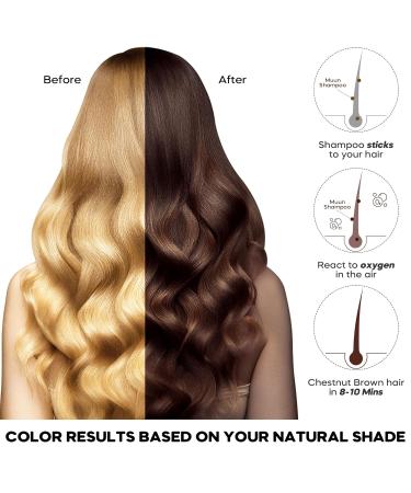 Dark Brown Hair Dye Shampoo - 3 In 1 Instant Gray Coverage | Herbal Hair Color for Men & Women (500mL - Buy Online on SooperMarket.com