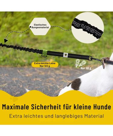 Buy Bungee Leash for Small Dogs (up to 15kg) - Adjustable 110-160cm Jogging Line Extension with 2 Loops - Buy Online on SooperMarket.com