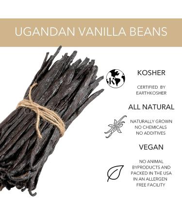 Slofoodgroup Gourmet Vanilla Beans - Grade A Uganda Bourbon Vanilla - Ideal for Cooking, Baking, and Extracts - 10 Count Pack - Buy Online on SooperMarket.com