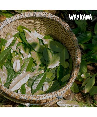 Waykana Organic Guayusa Loose Leaf Tea - 8 oz (227 g) | Premium Natural Energy Boost - Buy Online on SooperMarket.com