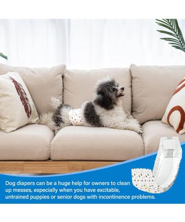 Pet Soft Disposable Dog Diapers for Male Dogs - 20 Pack | Highly Absorbent Leak-Proof with Wetness Indicator | International Shipping - Buy Online on SooperMarket.com