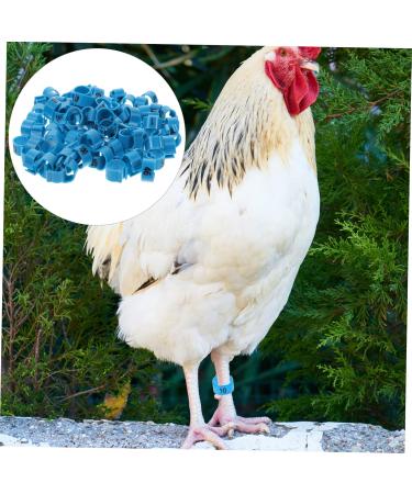 FRCOLOR 200 Pcs Pigeon Anklet Plastic Tags Chicken Foot Bands Dove Pigeon Foot Bands Baby Chicken Foot Ring 1X1X0.8CMx2pcs Bluex2pcs - Buy Online on SooperMarket.com