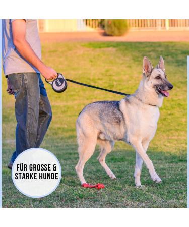 Kong Roll-Out Dog Leash 5m | XL for Large Dogs Up to 70kg | High-Quality Roller Leash with Break & Lock System | Soft Handle & Reflective Belt in Red - Buy Online on SooperMarket.com