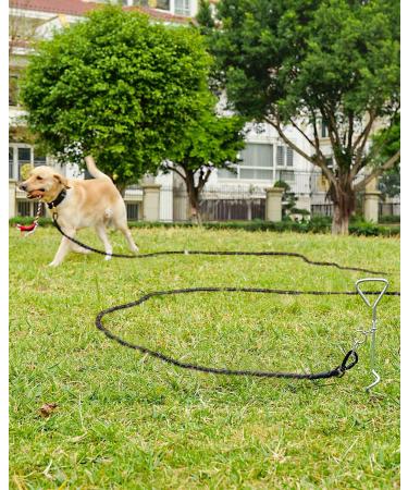 Joytale Padded Handle Training Lead for Dogs - 10m Long Line for Training & Tie Out - Supports Dogs Under 45kg - Black - Buy Online on SooperMarket.com
