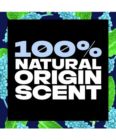 AXE Men's Alpine Lift Body Wash 18 oz - 4 Pack | Plant Based Ingredients, 100% Natural Scent - Buy Online on SooperMarket.com