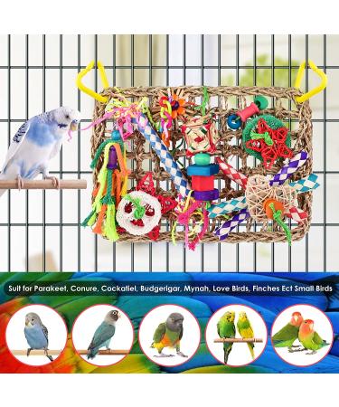 KATUMO Bird Foraging Wall Toy with Edible Seagrass Mat and Chewing Toys - Ideal for Lovebirds, Finch, Parakeets, Conure, Cockatiel - Buy Online on SooperMarket.com