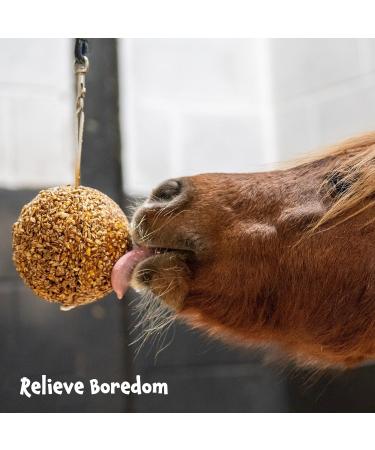 Likit Granola Stall-Ball Horse Treat 1.6kg | Flavours Apple Mixed Berry Peppermint Molasses | Long Lasting Boredom & Stress Reliever | 1.6kg - Buy Online on SooperMarket.com