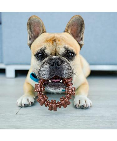 Nylabone Power Chew Textured Ring Dog Toy â€“ Tough Chew for Aggressive Chewers, Bold Flavor, Made in USA - Buy Online on SooperMarket.com