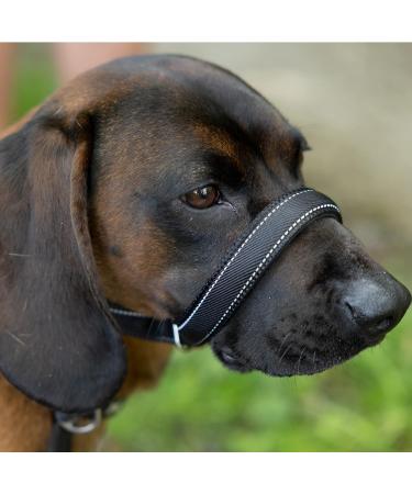 Reflective Total Pet Figure of 8 Dog Lead - Anti-Pull Slip Lead with Padded Nose Support | 180cm - Buy Online on SooperMarket.com