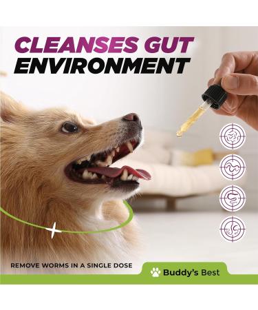Natural Dewormer for Dogs | 100% Natural | Contains 3 Medicinal Herbs | Supports Intestinal & Gut Health | Gentle & Effective Formula - Buy Online on SooperMarket.com