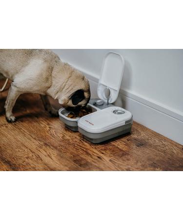 Cat Mate Timed Automatic Feeder Two bowl feeder - Buy Online on SooperMarket.com
