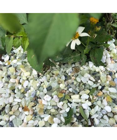 3lb Jade Bean Sand Stone Natural Top Dressing for Succulents & Cactus Bonsai Projects - Decorative Gravel for Terrarium & Fairy Garden - 5mm-8mm Light Green - Buy Online on SooperMarket.com