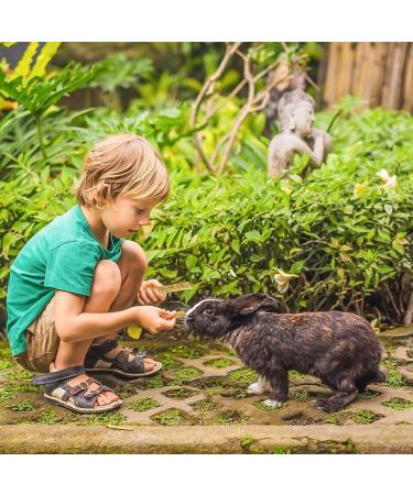 Natural Flowers Flavored Timothy Hay Sticks | Handmade Chew Toys for Small Animals | 5.29oz Pack - Buy Online on SooperMarket.com