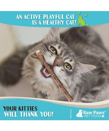 Raw Paws Silvervine Catnip Sticks 30-ct - Natural Matatabi Chew Toys for Indoor Cats - Silver Vine Kicker Toy - 30-pack - Buy Online on SooperMarket.com