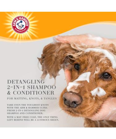 Arm & Hammer Ultra Fresh 2-in-1 Detangling Shampoo & Conditioner - Coconut Oil & Silk Protein | International Shipping - Buy Online on SooperMarket.com
