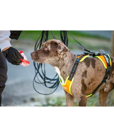 Julius-K9 Mantrailing & Outdoor Dog Harness - XS UV Orange with Neon Edge | International Shipping Available - Buy Online on SooperMarket.com