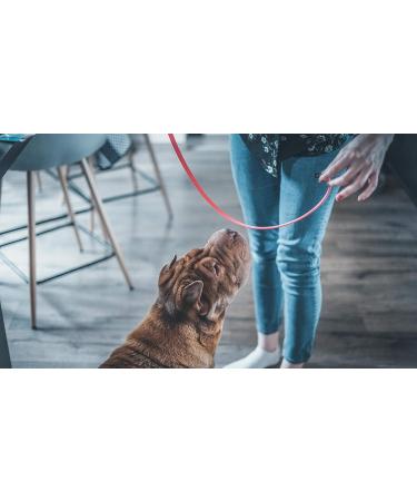 Vetocanis Red Dog Control Collar - 7 Years | Effective Training Solution - Buy Online on SooperMarket.com