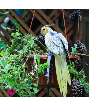 Newsmy Bird Harness Adjustable Feather Tether Parrot Harness Leash Outdoor Training Carrier for Budgerigar Lovebird Cockatiel Mynah Cockatoo Parakeet Macaw (Blue S) - Buy Online on SooperMarket.com