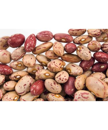 Hunza Organic Cranberry Beans - 2 lbs | Premium Quality, Pack of 1 - Buy Online on SooperMarket.com