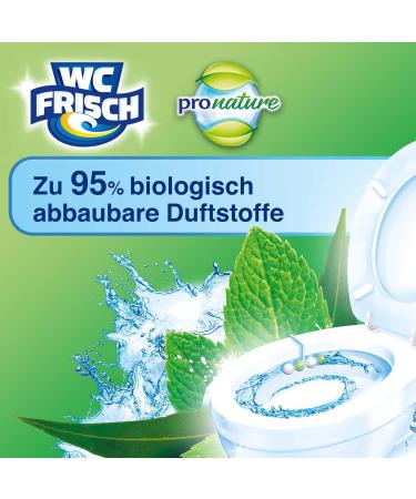 WC Frisch Kraft Active Pro Nature Mint & Eucalyptus Toilet Cleaner - 10 Pack | 95% Biodegradable Fragrance Stones for Long-Lasting Freshness | International Shipping Available - Buy Online on SooperMarket.com