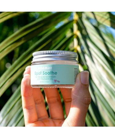 WildMint Spot Soothe Natural Spot Treatment Gel | Reduces Breakouts Scars & Irritation | Tea Tree Healing Serum for Acne Prone Skin Blemishes Redness & Ingrown Hairs | Cruelty-Free UK Skincare 30ml - Buy Online on SooperMarket.com