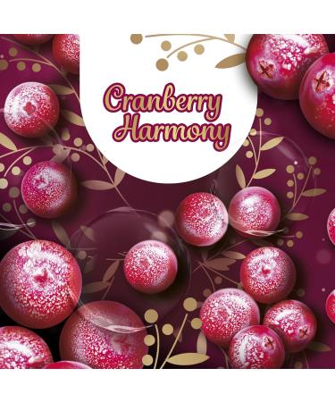 Sagrotan Hand Soap Cranberry Limited Edition - 6 x 250ml Value Pack | Premium Liquid Soap for Healthy Hands - Buy Online on SooperMarket.com