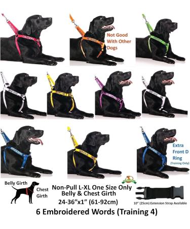 NERVOUS (Give Me Space) Yellow Colour Coded Non-Pull Dog Harness and 60cm 1.2m 1.8m Luxury Neoprene Padded Handle Lead Sets PREVENTS Accidents By Warning Others Of Your Dog In Advance (Harness & 1.8m) Harness & Long 1.8m/72inch Lead - Buy Online on SooperMarket.com