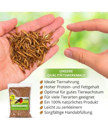 Premium 1kg Dried Mealworms - High Protein Flourworms for Reptiles Birds Fish & More | International Shipping Available - Buy Online on SooperMarket.com