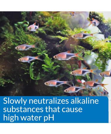 API pH DOWN Freshwater Aquarium Water pH Reducing Solution 118 ml Bottle pH DOWN Single - Buy Online on SooperMarket.com