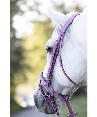 Indira Bridle Pro for Cob & Small Horses - Premium Pink 01 | International Shipping Available - Buy Online on SooperMarket.com