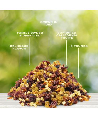 Traina Home Grown All American Sun Dried Fruit Blend - 5 lb Pack - Peaches, Cranberries, Blueberries, Apples, Raisins - Non GMO, Gluten Free - Buy Online on SooperMarket.com