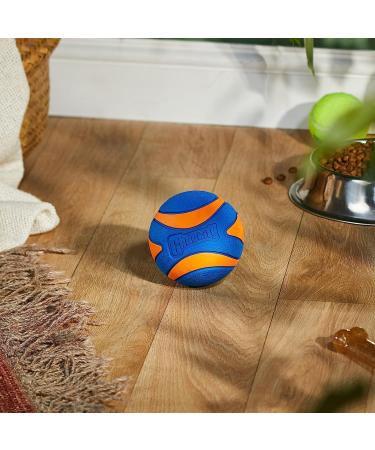 Chuckit! Ultra Squeaker Ball Small - Multi-Coloured 1-Pack for Interactive Fun | International Shipping Available - Buy Online on SooperMarket.com