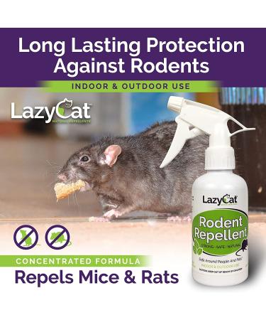 Rodent Repellent Spray 2X Strength - Peppermint Oil - MAX Power for Home, RV, Car, Camper, Boat - Natural Mouse & Rat Repellent (2 Pack) - Buy Online on SooperMarket.com