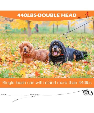 EXPAWLORER Chew Proof Retractable Dog Lead - Dual Extendable Reflective Lead for 2 Dogs, 5M Heavy Duty Double Lead for Small, Medium & Large Dogs - Buy Online on SooperMarket.com