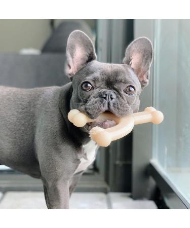 Interpet Nylabone Dura Chew - Y-Shaped Wolf Chewing Bone | Long-Lasting MM Chicken Flavor | International Shipping Available - Buy Online on SooperMarket.com