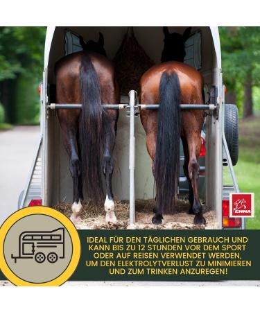 Emma Electrolyte Horse Liquid & Paste | Vitamin B12 Minerals & Sodium for Optimal Hydration | 1L & 30ml - Prevent Diarrhea & Support Performance - Buy Online on SooperMarket.com