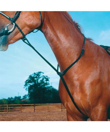 Shires Equestrian - Blenheim Standing Martingale - Havana - Size: Cob