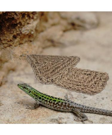 POPETPOP Reptichip 2pcs Lizard Hammock Jungle Climber Reptile Lizard Bearded Dragon Hammock Reptile Lounger Hammock Bed for Anoles Bearded Dragons Geckos Iguanas Hermit Crabs Jungle Toys - Buy Online on SooperMarket.com