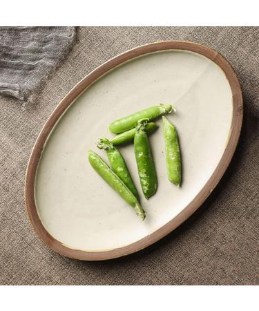 Serving Plates Fish Plate Ceramic Household Steamed Fish Plate Ceramic Tableware Large Oval Dinner Plate Restaurant Kitchen Retro Flat Plate for Appetizer Dinner and Desserts (Size : CH) Small - Buy Online on SooperMarket.com