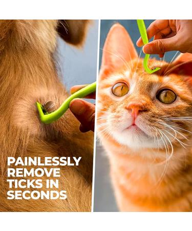 Rubigo 3 Pack Tick Remover Tools For Dogs Cats Humans. | Quick Safe And Painless Removal Of All Tick Sizes. 3 Different Sized Strong Plastic Tick Removers | For All Pets (Green) - Buy Online on SooperMarket.com