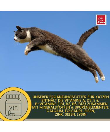 Emma Cat Vitamins 100ml | High Dose B Complex & Essential Nutrients for Immune Support | Vitamins A B12 D E Iron Zinc Selenium & L-Lysine - Buy Online on SooperMarket.com