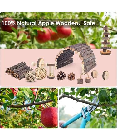 ERKOON Small Animal Chew Toys - Natural Wooden Accessories for Hamsters, Guinea Pigs, Gerbils, Rats, Chinchillas - Boredom Breaker, Teeth Molar Exercise - Play Bridge, Roller, Dumbbells - Buy Online on SooperMarket.com
